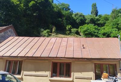 Vând  casă în Sasca montana - 2