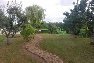 Snagov - Tancabesti - 5