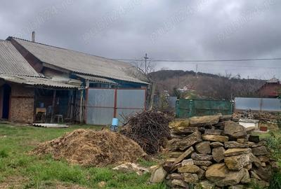 Casa de vanzare in slava rusa - 1