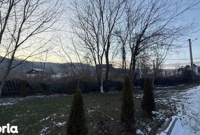 Teren de 10834 mp, în Dumbrăvești - 2