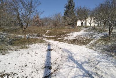 Teren de 5950 mp, în Scorțeni