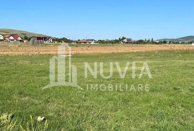 Teren de 447 mp, în Central