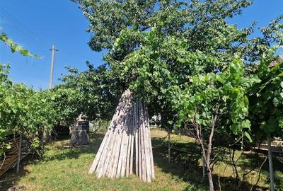 Casă individuală cu 3 camere cu Teren 2000 Mp în Malu Vânăt - 13