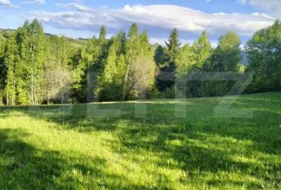 Teren de 7000 mp, în Gilău - 4