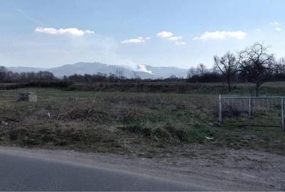 Teren de 2383 mp, în Buntești - 3