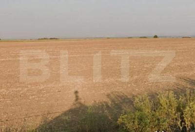 Teren de 22192 mp, în Cârcea