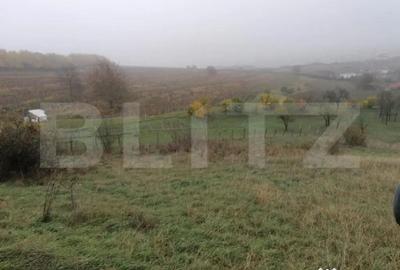 Teren de 1808 mp, în Central