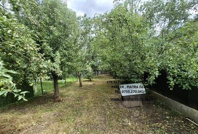 Proprietate D-va Rosie, pretabila pentru activitati economice/locuit - 10