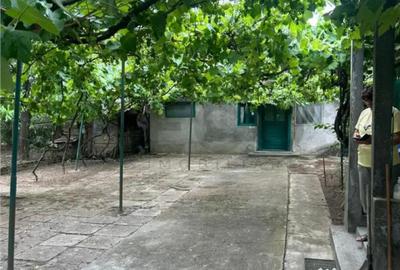 Casă cu 3 camere cu Teren 2268 Mp în Talpoș - 9