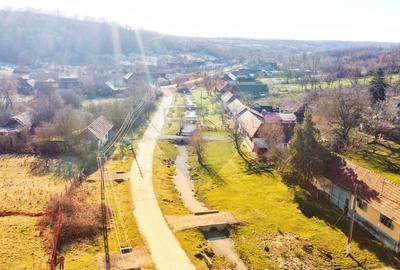 Casă individuală cu 4 camere cu Teren 10486 Mp în Ierșnic - 2