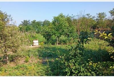 Casă cu 4 camere în Unirea - 4