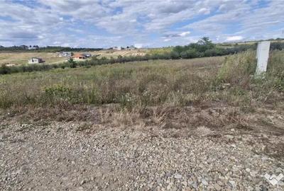 Teren de 599 mp, în Săldăbagiu de Munte - 3
