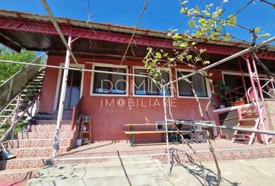 Casa cu teren generos, in mijlocul naturii Barza, Dane?ti - 3