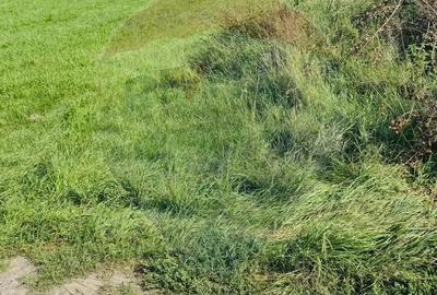 Teren de 8042 mp, în Sighetu Marmației - 3