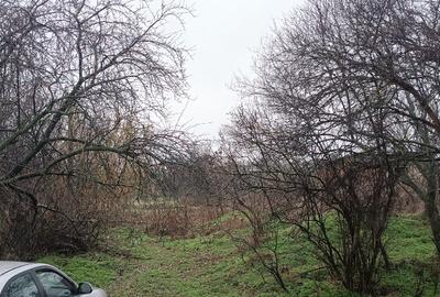 Teren Intravilan Draganesti-Olt 1649mp - 1