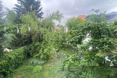 Apartament cu 3 camere decomandat în Casin - 12