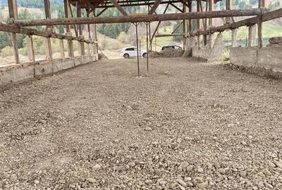 HALE-DEPOZIT DE VANZRE SI TEREN 10000 mp  AGAS jud.Bacau - 3