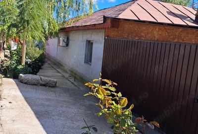 Casa de vanzare Ro?iorii de vede Casa de vanzare Ro?iorii de vede - 5