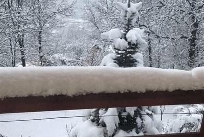 Casă cu 4 camere cu Teren 1350 Mp în Central - 6