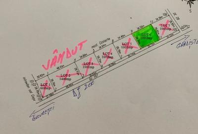 Teren 1000 mp intravilan , Dascalu, deschidere 35 m la DJ 200, 0744353659 - 5