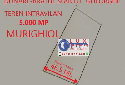 Teren de 5000 mp, în Murighiol - 2