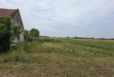 Casă cu 4 camere în Jena - 9
