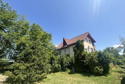 Teren Construcții intravilan de 8000 mp, în Ghermănești - 1