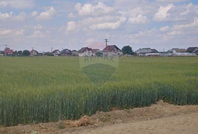 Teren intravilan de 6600 mp, în Dumbrăveni - 12