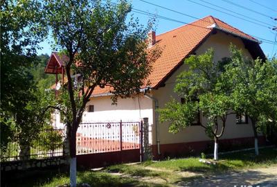 Casă cu 6 camere cu Teren 4000 Mp în Săvârșin - 10