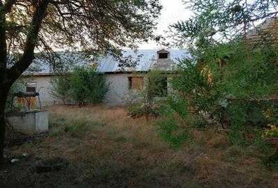 Vand teren intravilan plus casa in sat Potarnichea, Constan?a Vand teren intravilan plus casa in sat Potarnichea, Constan?a - 2