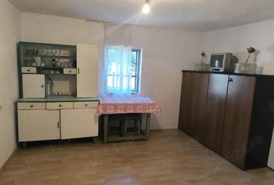 Gospodarie in Jud. Valcea, com. Pe?ceana, sat Ursoaia, 2 case ?i anexe - 6