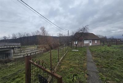 Casă cu 2 camere cu Teren 2685 Mp în Tăuteu - 19