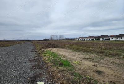 Teren de 530 mp, în Bucovăț (Remetea Mare)