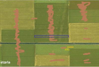 Teren de 5000 mp, în Dor Mărunt - 2