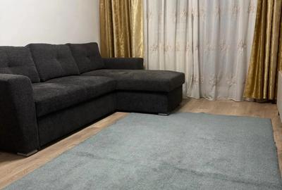 Apartament cu 2 camere semidecomandat în Timișoara - 2