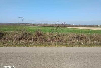 Teren de 37400 mp, în Homoroade - 3