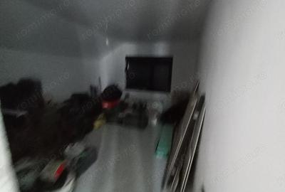 Casă cu Teren 325 Mp în Sânandrei - 1