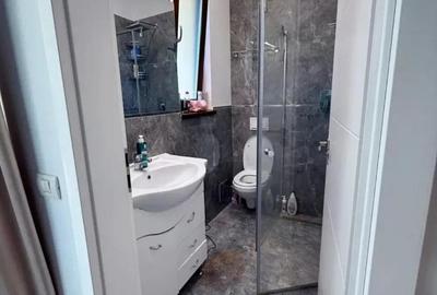 Casă cu 4 camere în Banat - 3