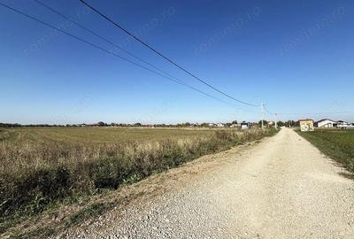 5000 mp. teren intravilan - Les - IMOBIHOR - 5