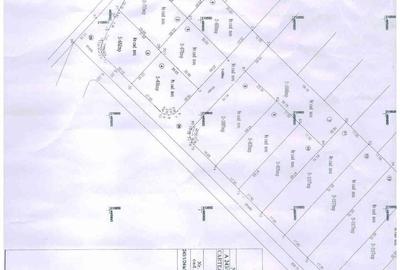 Teren Construcții intravilan de 1048 mp, în Dumbrăvița - 4