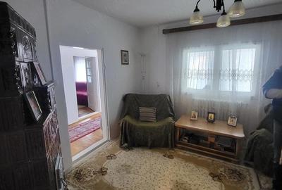Apartament cu 2 camere nedecomandat în Pucioasa - 9