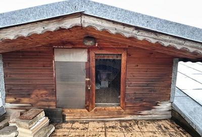 Teren cu casa - 498 mp Colentina/St. Nicolae Apostol - 7