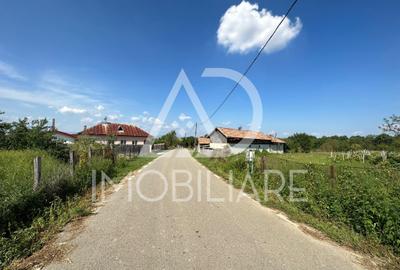 Teren intravilan de 3500 mp, în Drăguțești - 6