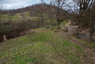 Teren intravilan de 854 mp, în Eșelnița - 11