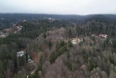 Teren Construcții intravilan de 1700 mp, în Castelul Peleș - 18