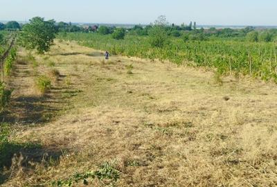 Teren Construcții intravilan de 5360 mp, în Valea Nicovani - 2