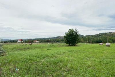 Teren agricol extravilan de 2950 mp, în Măcești - 7
