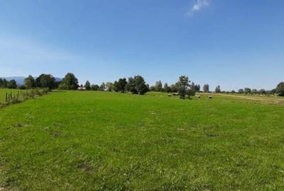 Teren de 9350 mp, în Bran - 5