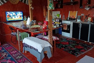 Casă individuală cu 2 camere în Alunișu (Băiculești) - 2