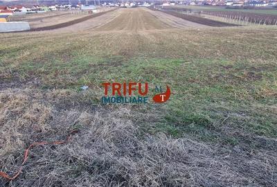 Teren de 2125 mp, în Bărăbanț - 2